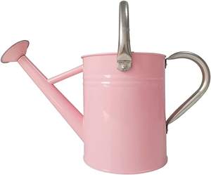 New Galvanized Metal Copper Made Handle Water Can <b>Garden</b> <b>Tools</b> Watering Can Safety Health Metal Watering in Wholesale Price - Product Image 2