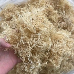 Bulk Factory Vietnam Dried <b>Sea</b> <b>Moss</b> Raw Eucheuma Cottonii Purple Gold Irish Seaweed Spinosum Custom Label Pack - Product Image 4
