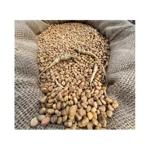 Rice ry ininseng UTS/EEDS EES EEDS T est Rice arroz - Product Image 1