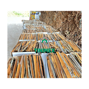 Canela Cassia/Xbchey Superior - Vietnam - Buena Calidad, Precio de Fabricación - Product Image 1