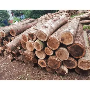 越南制造的金合欢原木金合欢木材大量出口高品质