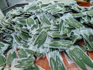 ชาสมุนไพรใบไผ่สีเขียวแห้งธรรมชาติดอกบัวสีน้ำเงินเวียดนาม - Product Image 2