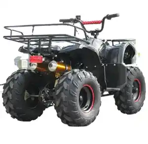 100% nóng thỏa thuận đã sẵn sàng để tàu bánh xe Quad xe đạp off-road xe máy