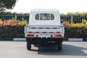 CAMIONETA ELÉCTRICA G FARIZON F1E SUPER BLANCA 2024, PRÁCTICAMENTE NUEVA, EN EXCELENTE ESTADO Y A UN PRECIO ASEQUIBLE - Product Image 6