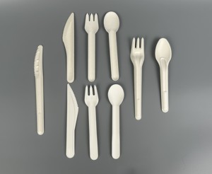 Phân hủy sinh học bã mía thiết lập dao kéo-Thân thiện với môi dùng một lần dao muỗng nĩa cho phục vụ ăn uống - Product Image 6