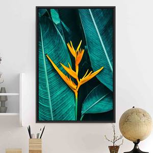 Printed Canvas Art: Tropical Flower Wall Hanging - Vibrant Floral Design,BLACK <b>FRAMED</b> CANVAS - Product Image 1