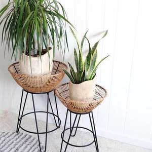 Elegante estante de exhibición de macetas de ratán y hierro para uso doméstico en interiores y exteriores, soporte de planta para plantar - Product Image 4