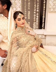 Collection de shalwar kameez pakistanais et indiens de haute qualité, broderie sur le devant, travail manuel, broderie au dos, robe punjabi, robe kuchi - Product Image 6