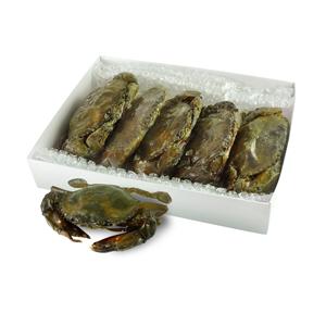 Cangrejo de Barro Congelado Entero 10 kg Proveedor de Portugal - Product Image 1