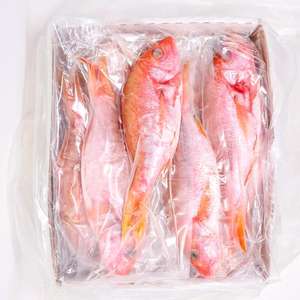 Poisson Rouge Snapper Biologique Congelé de Qualité Supérieure, Processus BQF, Faible Teneur en Glucides et en Sel, Taille 6cm, En Vente - Product Image 5