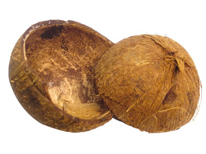 Coquille de noix de coco brute de qualité supérieure pour l'artisanat décoratif et l'utilisation de charbon de bois - Product Image 2