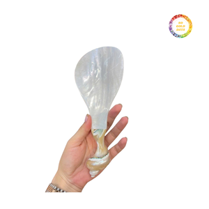 Cuchara madre de perla de diseño clásico: valor por dinero con atractivo atemporal - Product Image 2