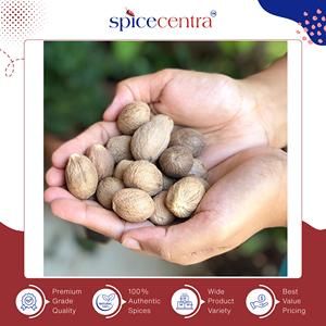 Nuez Moscada Entera Cruda Orgánica 100% Pura, Especias Individuales de Primera Calidad a Precio Competitivo para Uso Culinario, Marca Spicecentra 12 - Product Image 6