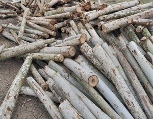 Produits très vendus en bois naturel 100% - Product Image 1
