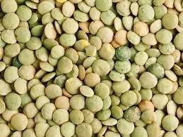 Full Circle Organic Green <b>Lentils</b> For Sale - Product Image 3