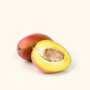 Huile de noyau de mangue de qualité alimentaire et cosmétique, huile essentielle liquide pressée à froid - Product Image 2