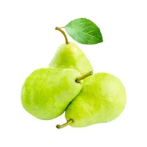 fresh sweet and juicy fragrant pear and korla pear hot selling Chinese fresh ya golden pear from Hebei Origin