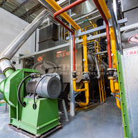 Caldera de Vapor Automática de 15 Tph de Alta Calidad, Funcionamiento con Aceite Pesado, para Hospital