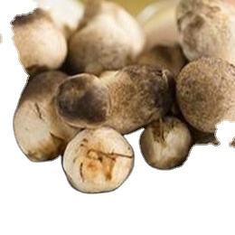 เห็ดแห้งเห็ดปลวกเห็ดแห้งมุมผู้ผลิต - Product Image 3