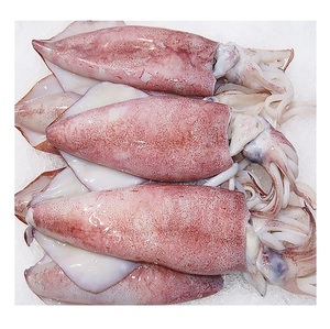 Calamar Loligo Entier Congelé (Produit de la Mer) en Gros - Prix Promotionnel - Product Image 3