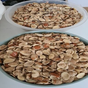 Factory Wholesale Premium Organic Light Sliced Sweet Ogbono <b>Nut</b> <b>Kernels</b> Export Grade Dried Fruits and <b>Nuts</b> Snacks For Sale - Product Image 1