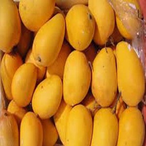 Mangue Premium Fraîche Jaune Délicieuse Sucrée Naturelle Non OGM 5kg - Product Image 3