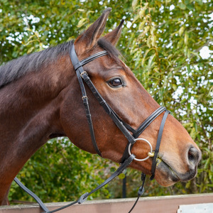 Horse5 Row Tiny TOPAZ Crystal Bling PEARL GOLD PIPING Comfort Bridle BRILLANT - Product Image 3