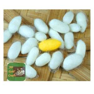 Natural Silk Fiber <b>Silkworm</b> Cocoons Premium White Mulberry Cocoon for Facial Scrub and Skin Care Treatment - Product Image 2
