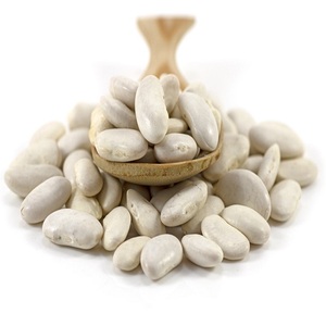 Haricots blancs de qualité supérieure, naturels, en gros, de qualité supérieure, pour l'exportation, haricots blancs de grande taille, de haute qualité - Product Image 1