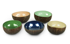 Bol en noix de coco laqué le plus vendu pour la décoration intérieure, meilleur vendeur 2025 d'artisanat du Vietnam - Product Image 5