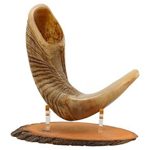 Alta calidad Kosher Sheep Ram Horn Shofar estilo religioso náutico mejor sonido precio competitivo India artesanías naturales - Product Image 4
