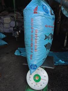 Tratamiento de Agua Coco Shell Ms Holiday - Product Image 5