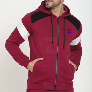 Sweats à capuche d'hiver à fermeture éclair légers pour hommes-Logo personnalisé 100% coton de haute qualité écologique à bas prix - Product Image 1