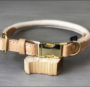 Collar de perro sabueso de cuero verde de alta calidad para galgo y Whippet - Product Image 1