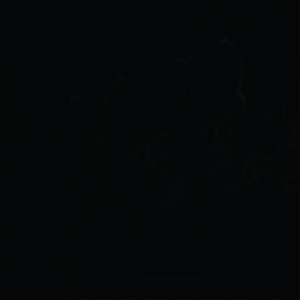 Vente chaude 2025 Logo personnalisé T-shirts à col rond Slim Fit 100% coton plusieurs couleurs à bas prix - Product Image 5