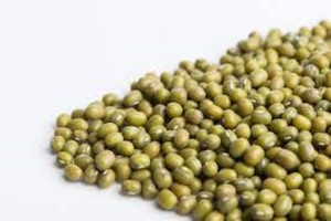 Frijoles mungo verdes de alta calidad, venta al por mayor de frijoles Vigna, suministro a granel con precios competitivos - Product Image 4