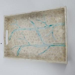 Bandeja de Nácar Ecológica de Tendencia, Base de Fibra de Vidrio para Decoración de Comedor de f s international - Product Image 1