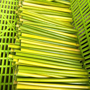 Vietnamese Eco-Friendly Disposable Grass <b>Straws</b> for Certified Simple Style Bar Accessories for Coffee Shops and <b>Cocktails</b> 13 cm - Product Image 4