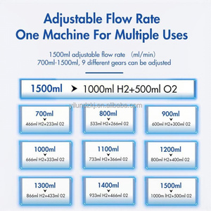 Meilleure machine à hydrogène intelligente pour la respiration et le soulagement de la douleur par inhalation - Product Image 4