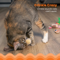 Lot de 6 jouets en peluche pour chat, design gâteau et bouteille de vin, avec plumes froissées et herbe à chat, jouets interactifs à mordre et à mâcher