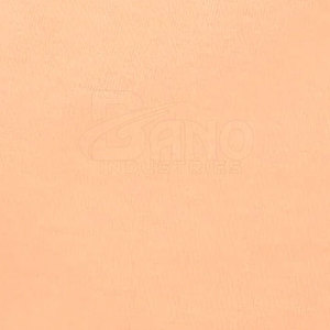 Service OEM Vente en gros Nouvelle arrivée 100% Shorts pour hommes en toile de coton Conception personnalisée Motif solide Séchage rapide Style décontracté Privé - Product Image 6