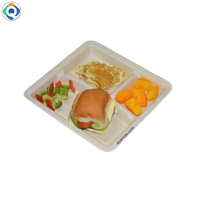 Vaisselle et vaisselle en bagasse compostables à 3 compartiments de 10 pouces en vente en gros
