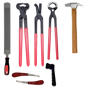 Le kit professionnel de soins du sabot de cheval de haute qualité comprend des pinces à sabot tondeuses marteau couteau fichier brosse Instrument vétérinaire pour - Product Image 3