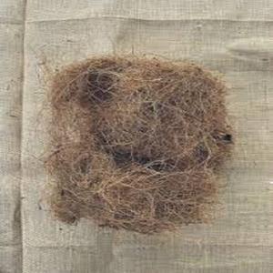 Fibra de coco natural de alta calidad para colchones, cepillos, cuerdas, esteras para cultivo, fibra de coco para mantillo, venta al por mayor de La India - Product Image 2