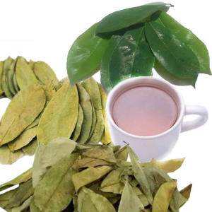 ใบทุเรียนเทศแห้งธรรมชาติ, guanabana, ชาผู้หญิง, สมุนไพรธรรมชาติ, ใบทุเรียนเทศแห้งสดใหม่ - Product Image 6