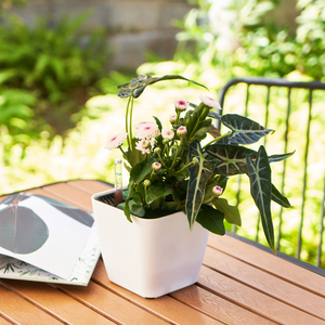 Macetas de Plástico PP <span class=keywords><strong>MiHo</strong></span> con Autorriego para Jardín, Macetas Blancas para Escritorio y Alféizar, Decoración para Interiores y Exteriores del Hogar - Product Image 3