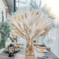 Buket Bunga Kering Alami Eucalyptus Pampas Grass Berkualitas Premium yang Menakjubkan (45-60cm) untuk Natal, Tahun Baru, Hari Ibu