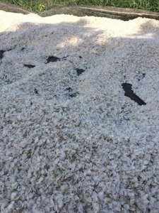 Báscula de pescado de tilapia seca para extraer la piel, elimina la báscula de pescado de Vietnam - Product Image 6