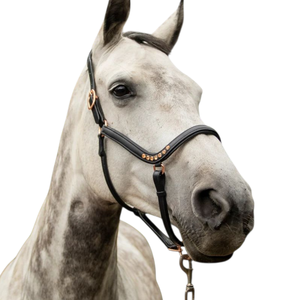 Harnais de cheval en cuir végétal de qualité supérieure personnalisé, bride en cristal, réglable, rembourrage doux, dressage, couleur personnalisée - Product Image 4