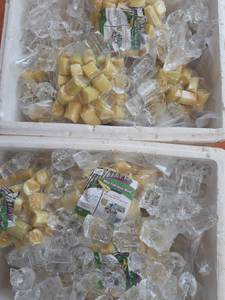 Fournisseurs de canne à sucre congelée du Vietnam Bâtons de canne à sucre sucrée de qualité supérieure Vente à l'exportation en gros Meilleur prix Canne à sucre congelée Haute qualité Deal - Product Image 2